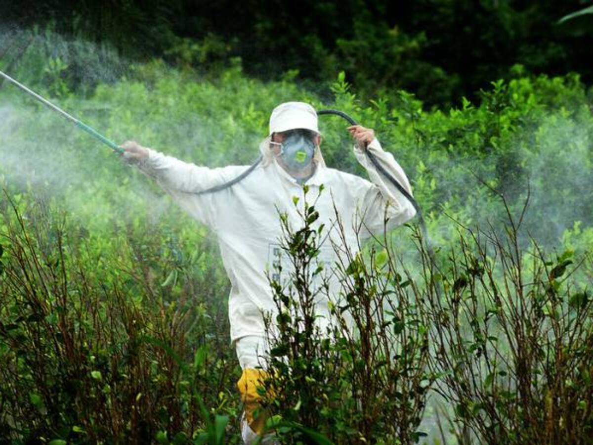 La ONU está preocupada por la erradicación de coca en zonas minadas del país