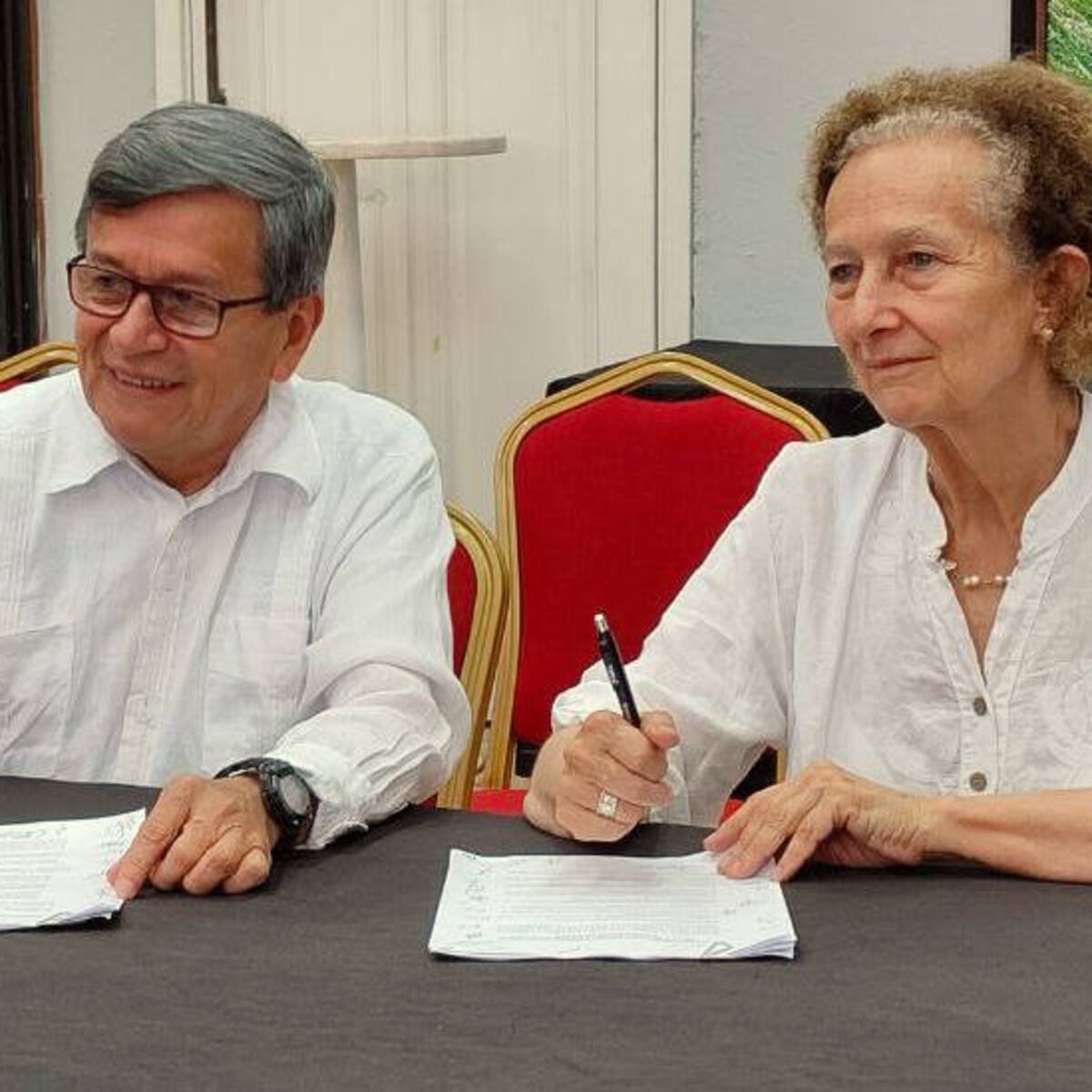 “Congelar la mesa es una crisis innecesaria para el proceso de paz”: Vera Grabe