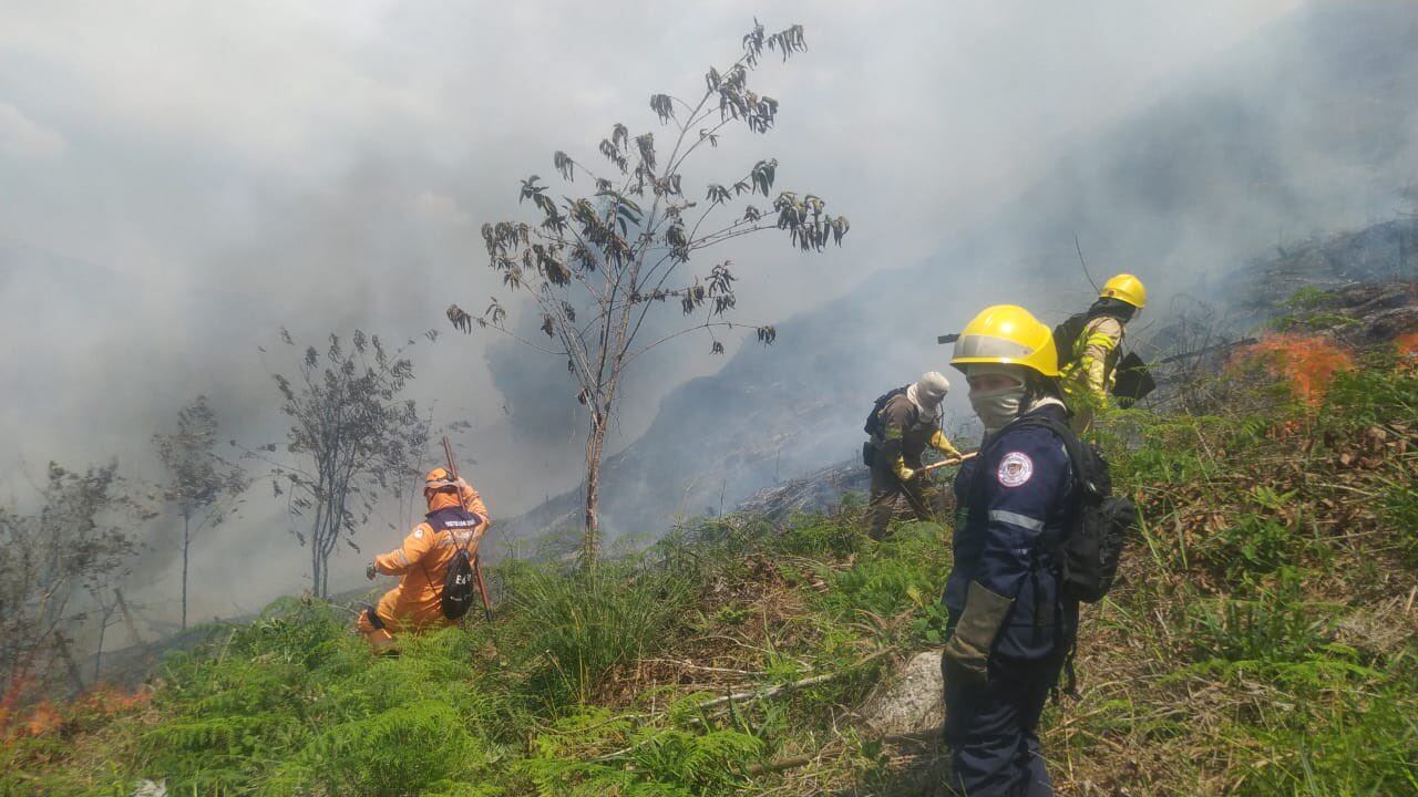 Voraz incendio forestal en Piedecuesta, cerca a la Mesa de Los Santos.