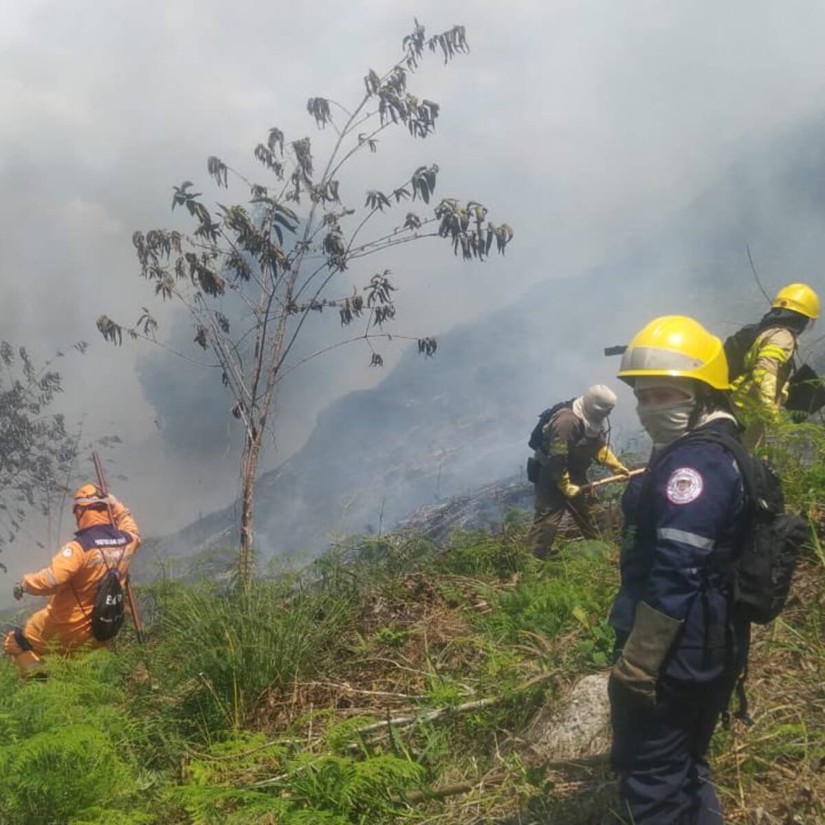 Voraz incendio forestal en una montaña de Piedecuesta, cerca a la Mesa de Los Santos