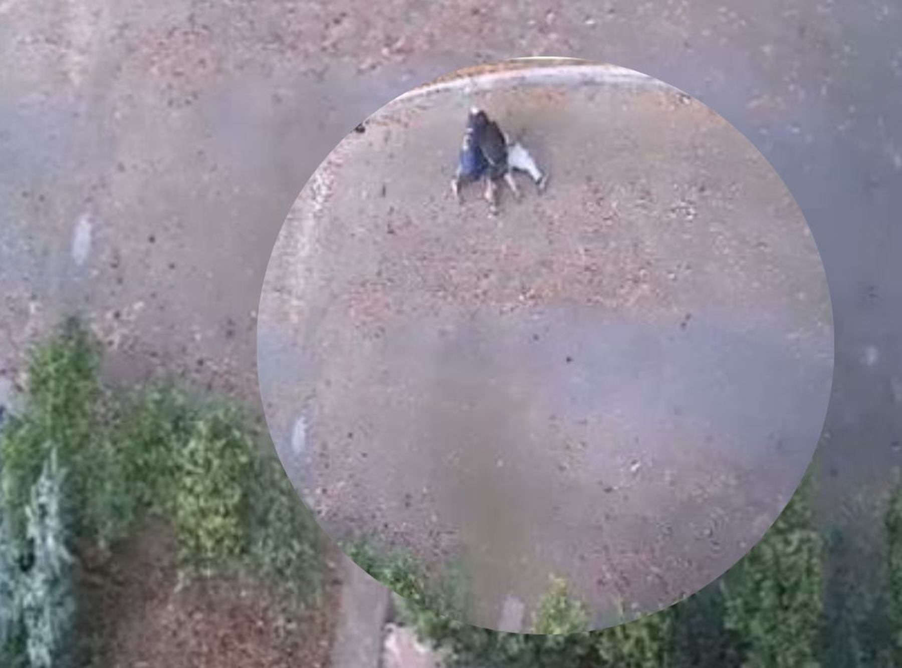 Atraco a un adulto mayor en Ibagué