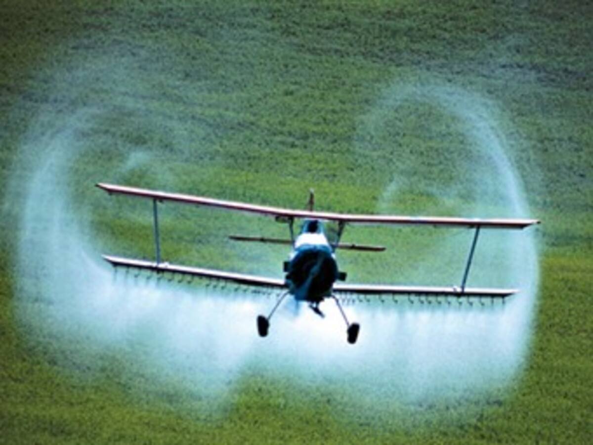 En octubre Colombia presentará alegatos en demanda de Ecuador por fumigaciones