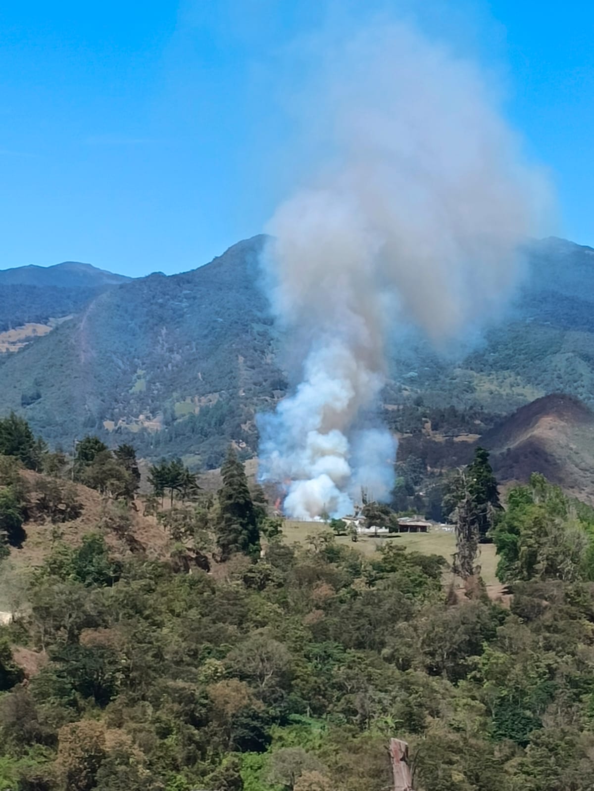 Incendio forestal entre Toledo y Labateca