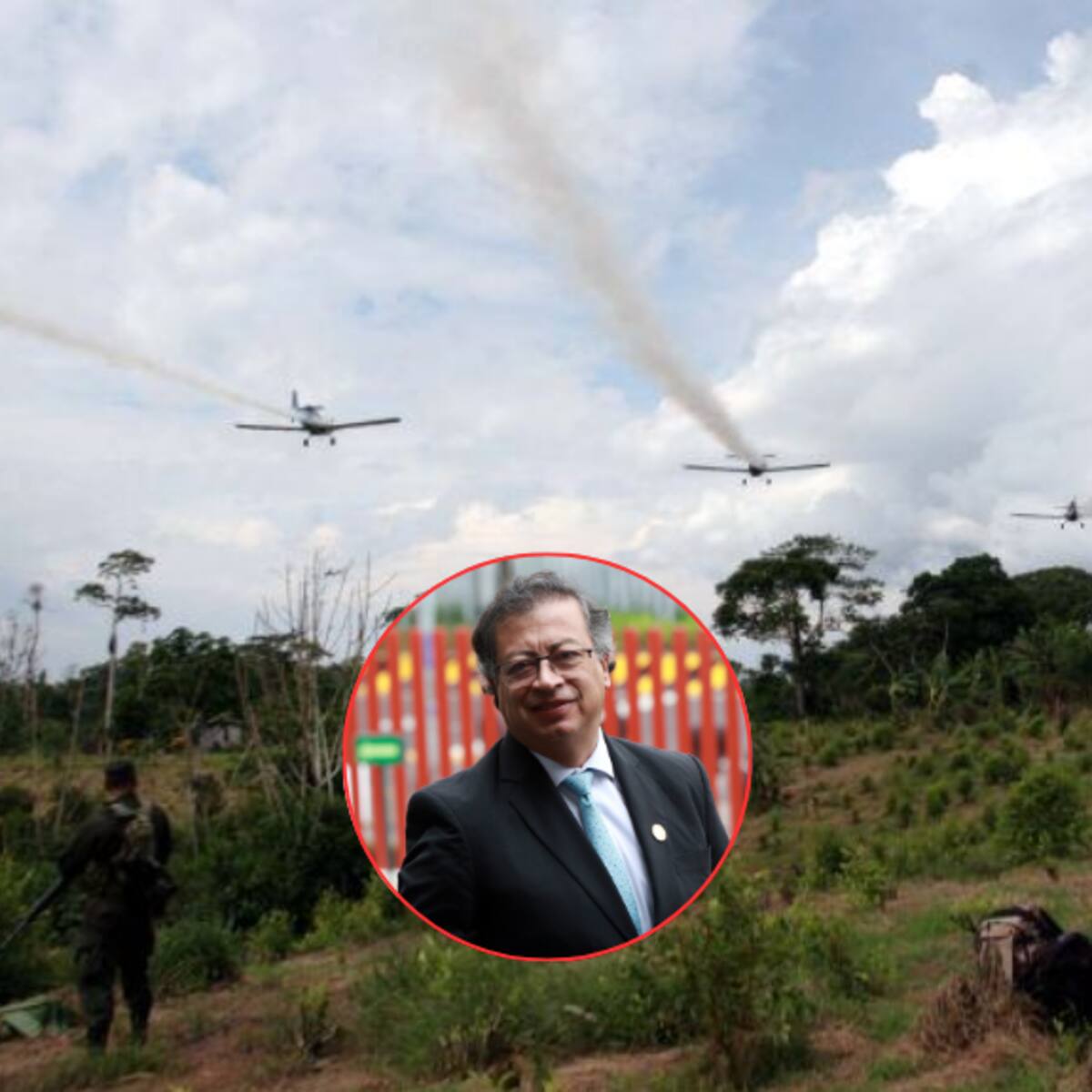Denuncian que el presidente Petro ordenó retomar la erradicación de cultivos ilícitos con glifosato