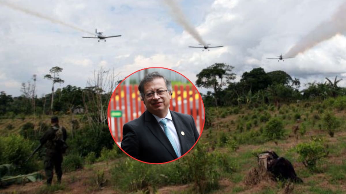 Denuncian que el presidente Petro ordenó retomar la erradicación de cultivos ilícitos con glifosato