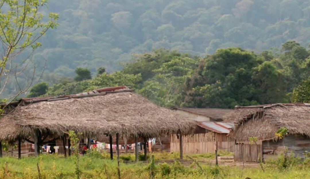 Comunidades indígenas en Catatumbo piden garantías de seguridad