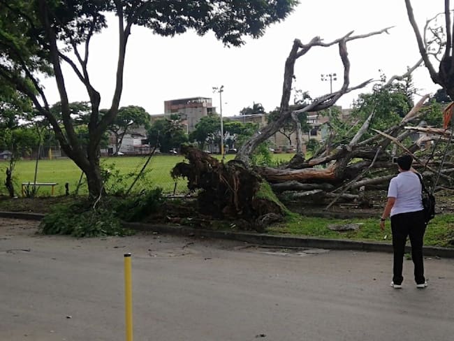 Se reporta la caídas de árboles, de techos, mallas de centros deportivos y el colapso de una estructura en la calle 18 con carrera 12, barrio Sucre.