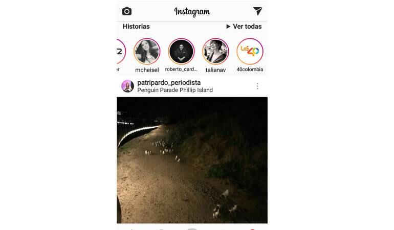 Las historias de Instagram son los círculos que están en la parte superior de la red social.