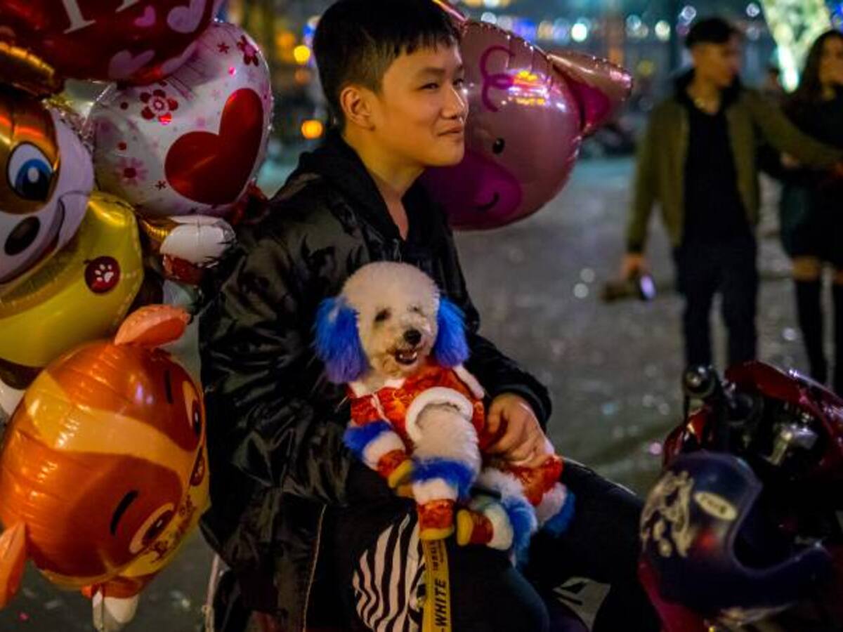 El año del perro chino, una oportunidad para defender sus derechos