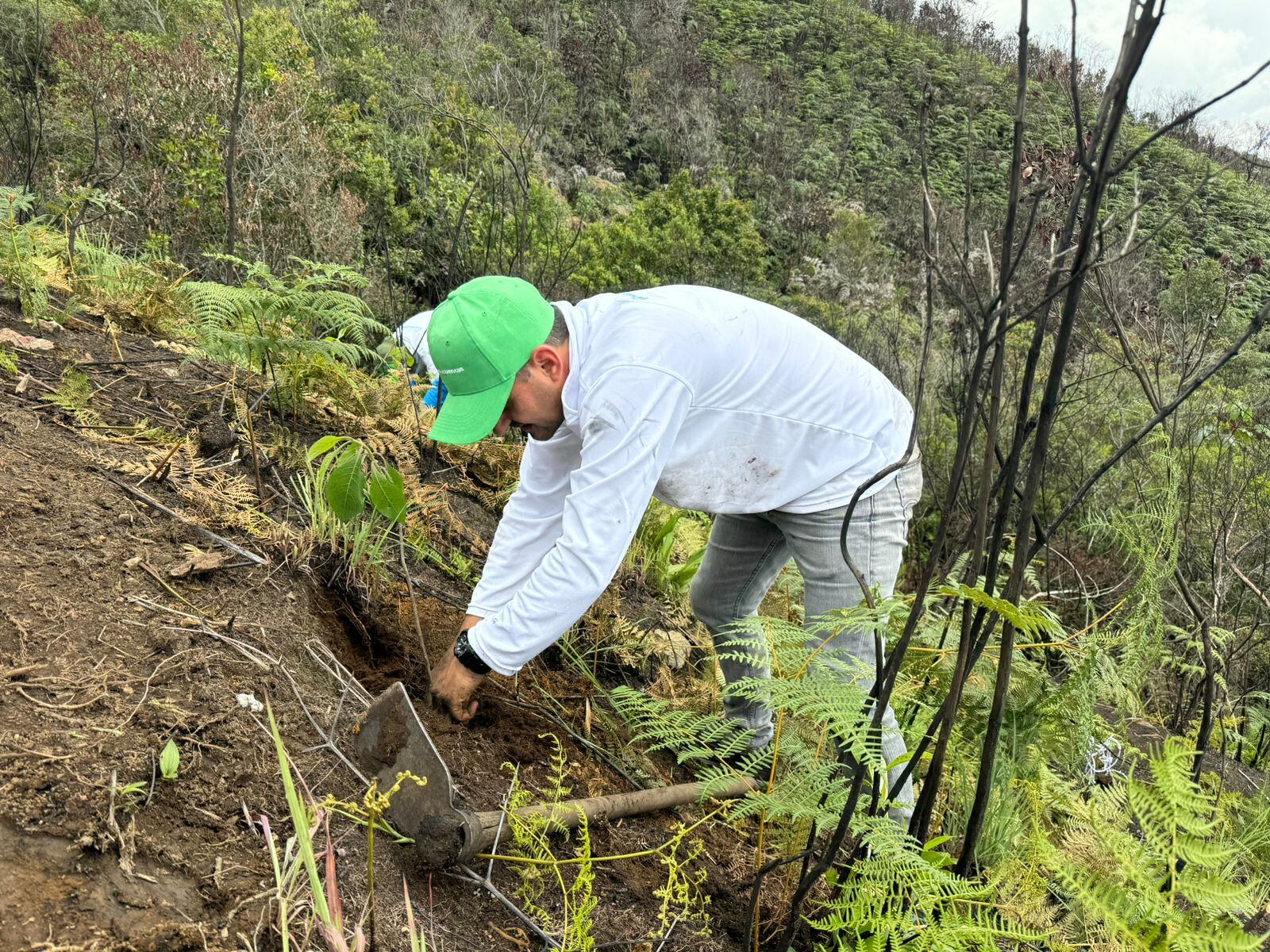 Foto: alcaldía de Medellín.