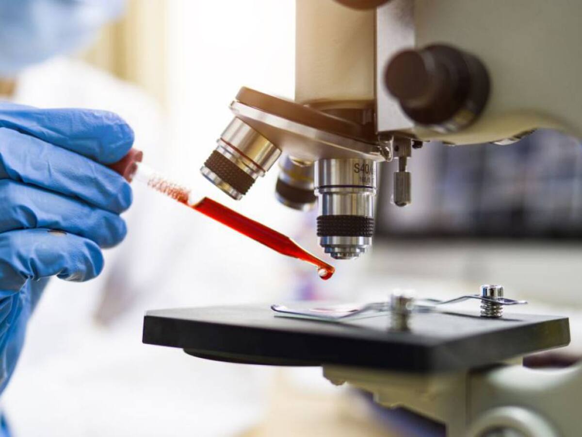 Primeros resultados de toxicología muestran trazas de plaguicidas en las empanadas