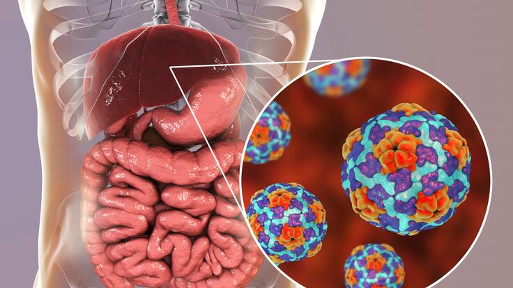 Dra. María Cristina Navas, Ph.D. en virología.
