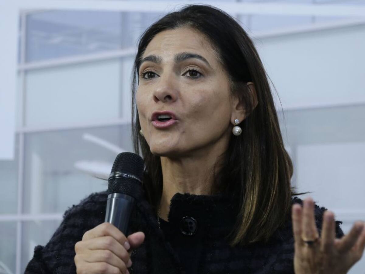 “Cada gobierno responde por sus connacionales”: MinTransporte