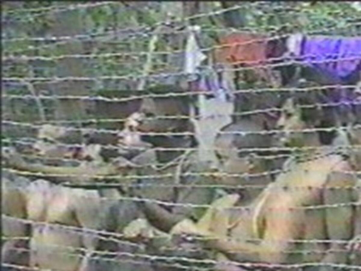 Gobierno y Farc fijan posiciones frente al acuerdo humanitario