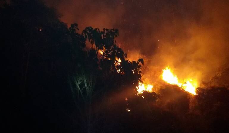 El cuerpo voluntario de bomberos de Génova atendieron la emergencia