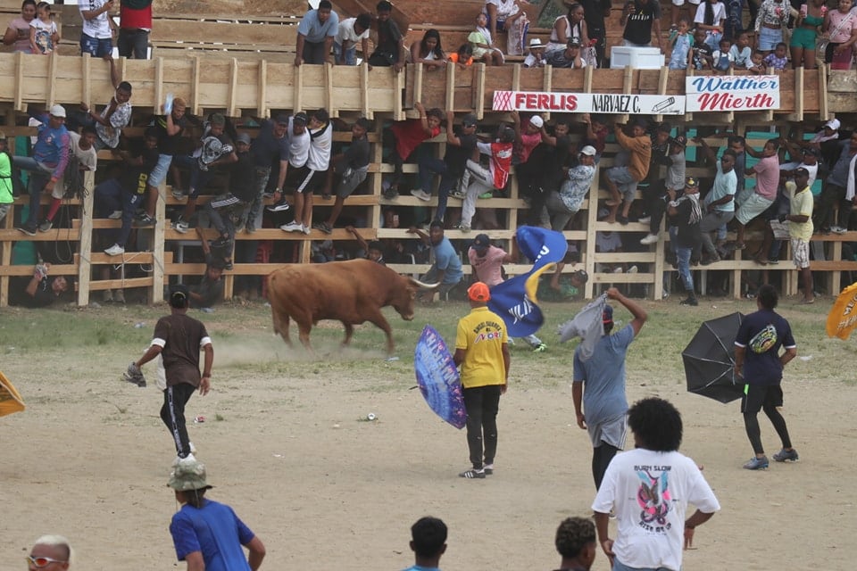 Corralejas en Necoclí - Alcaldía de Necoclí