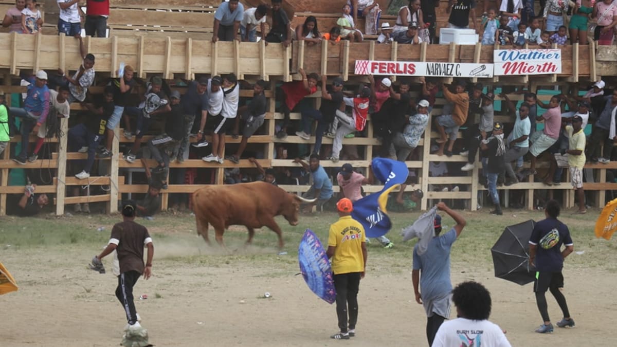 Una riña en una corraleja de Caucasia deja al menos once heridos