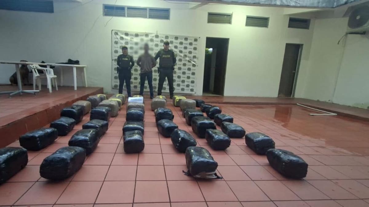 Incautados 193 kilogramos de marihuana en Tarqui - Huila