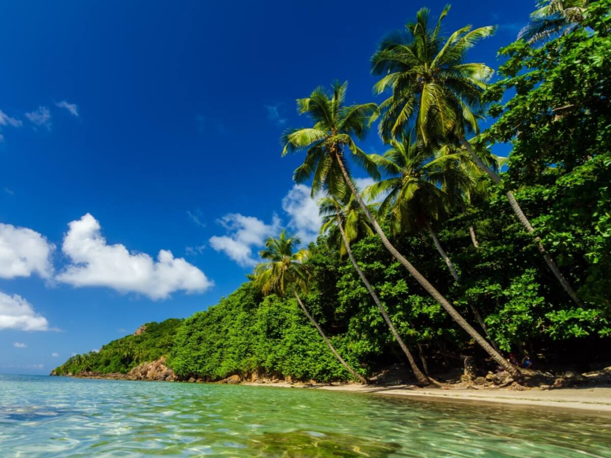 Córdoba: bondades ambientales del caribe colombiano