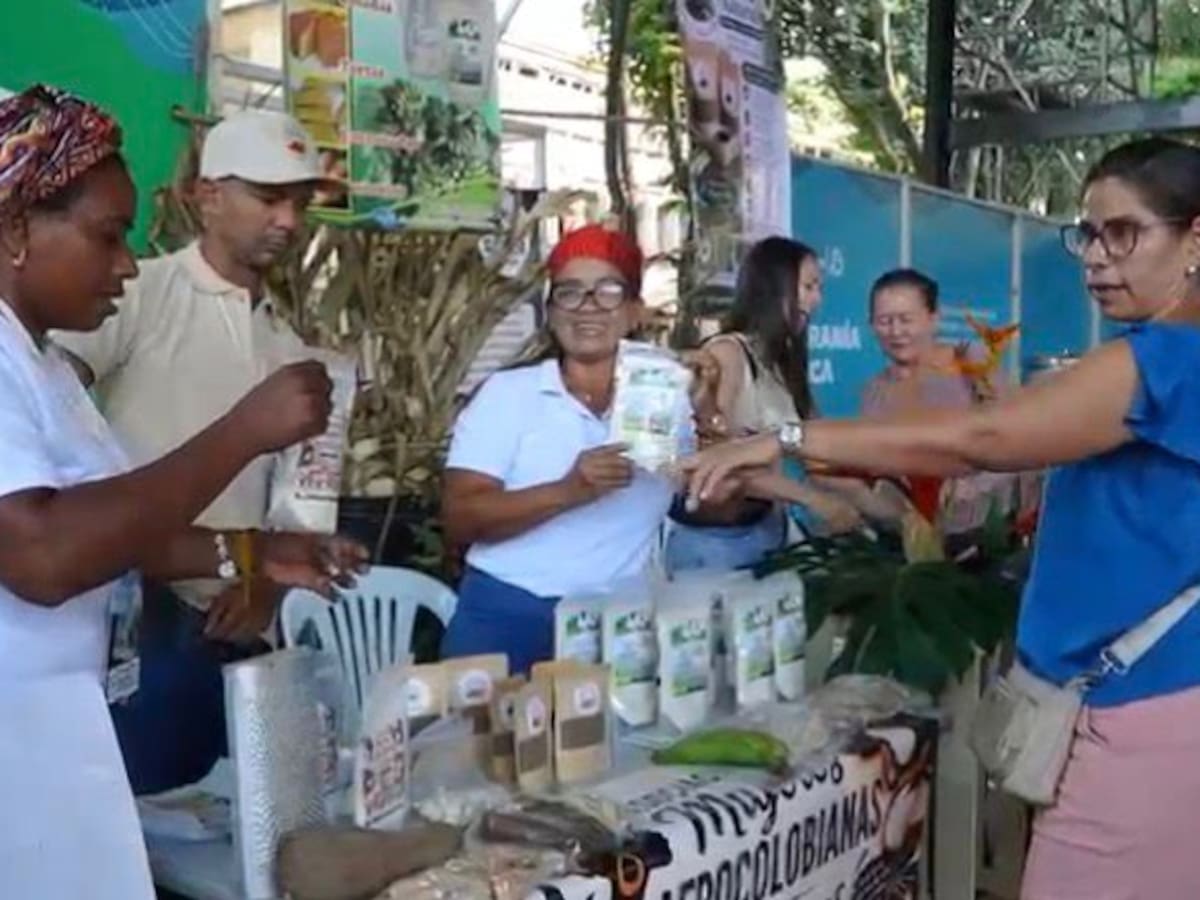 Inicio la feria de ciencia campesina en Cali