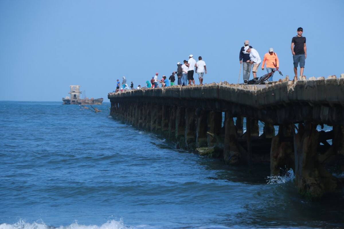 Foto: Alejandro Matías
