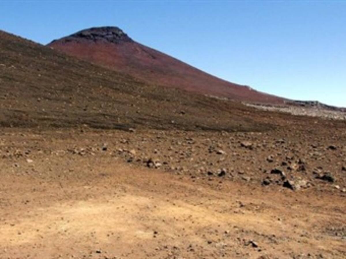 "Alguna vez en Marte hubo vida": NASA