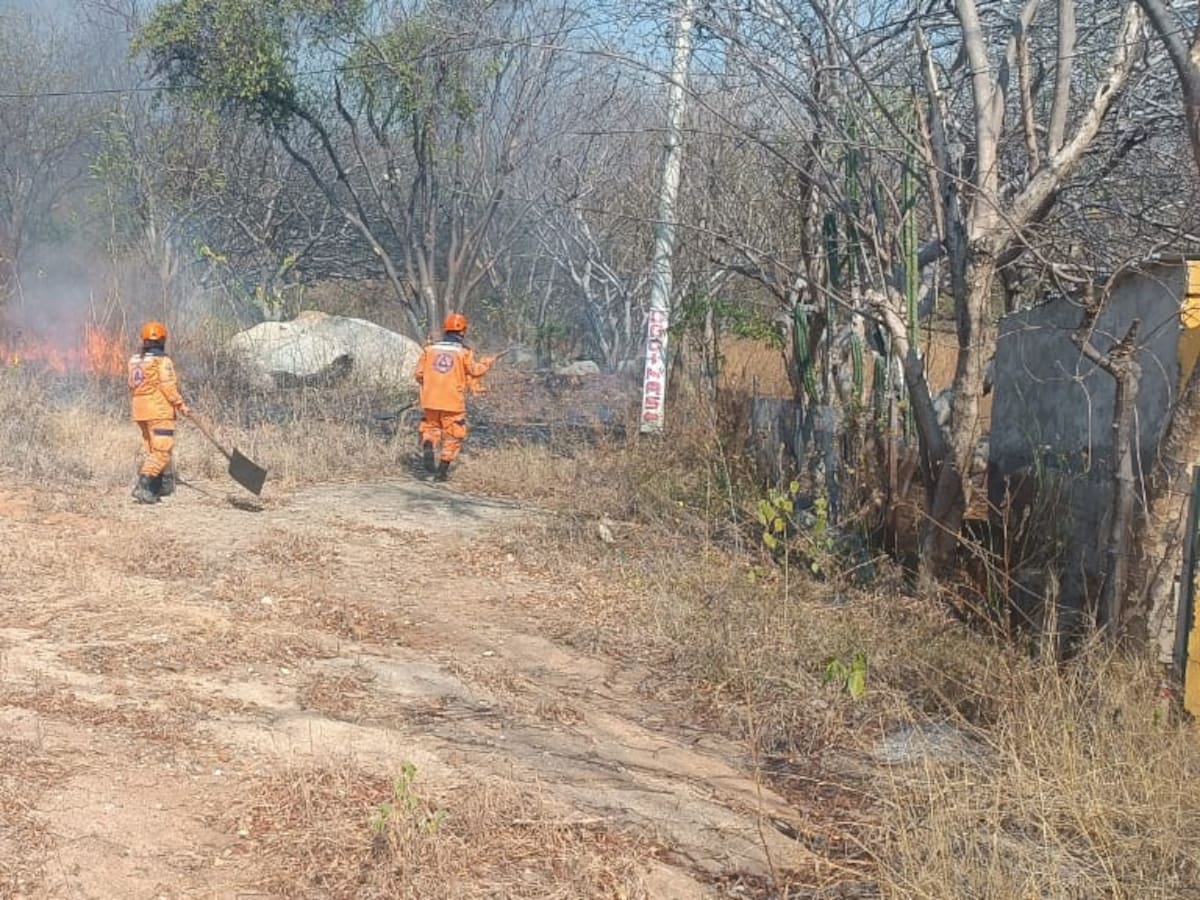 Cuatro departamentos del Caribe en alerta amarilla por riesgo de incendios forestales