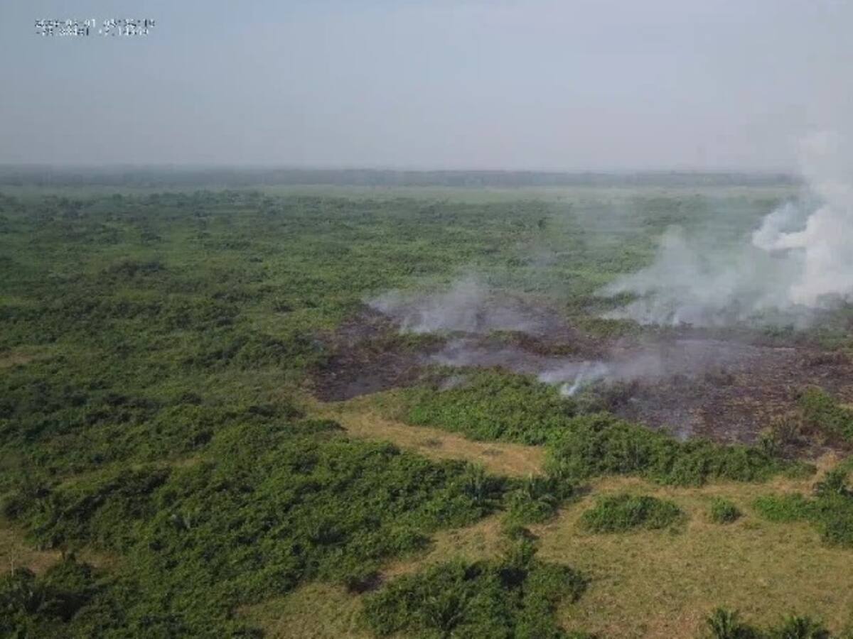 Con apoyo aéreo atienden incendio forestal en Barrancabermeja