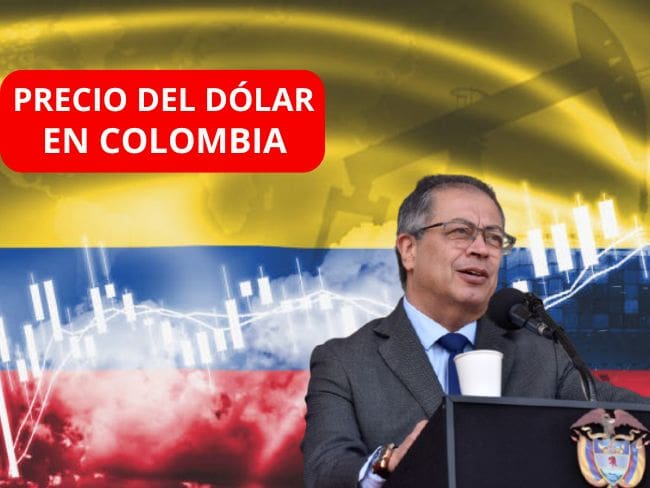 Precio del dólar en Colombia para este 31 de diciembre de 2025 Foto: Getty Images