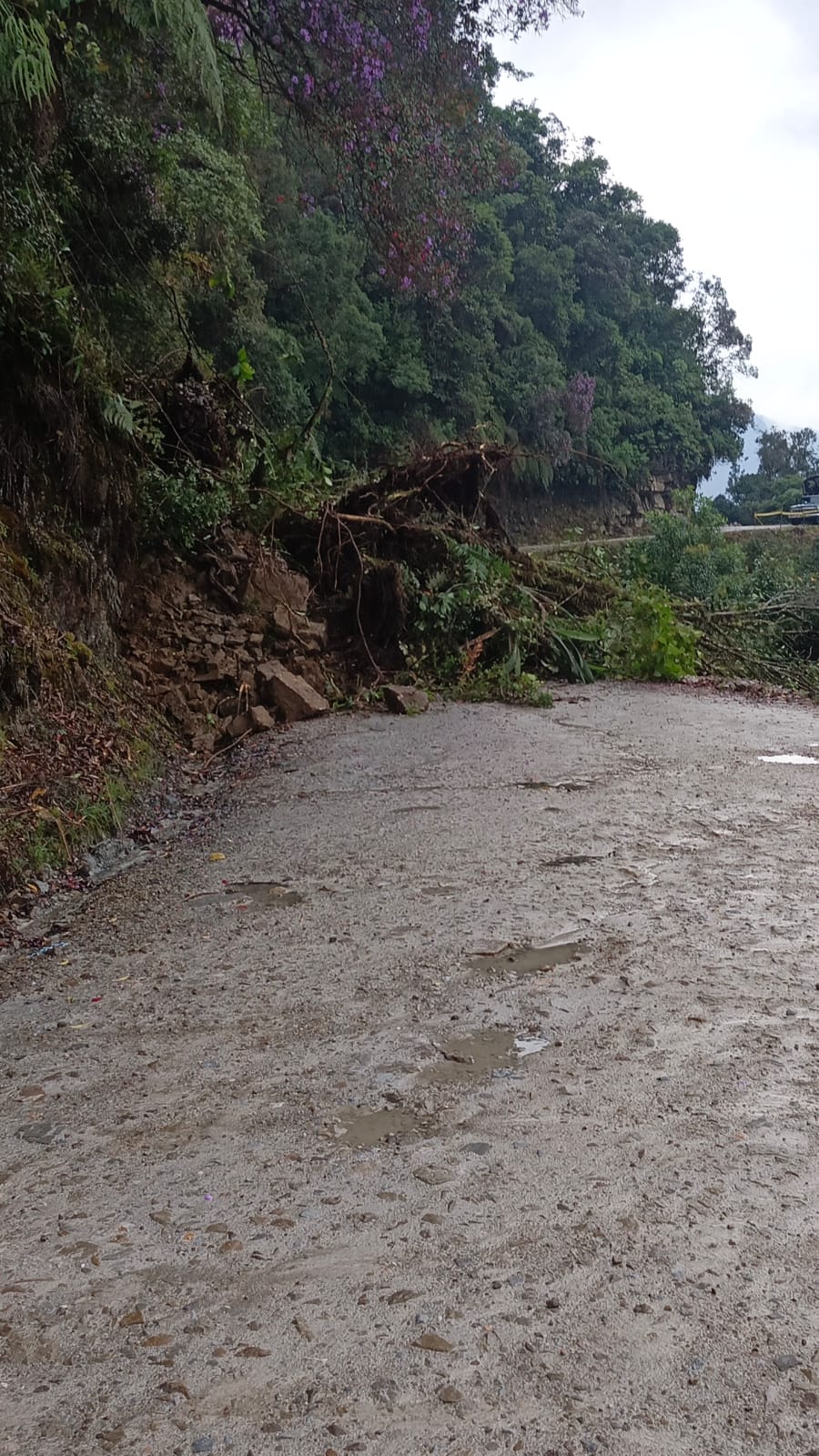 Emergencia en el sector Miralindo, del municipio de Toledo. / Foto: Cortesía.
