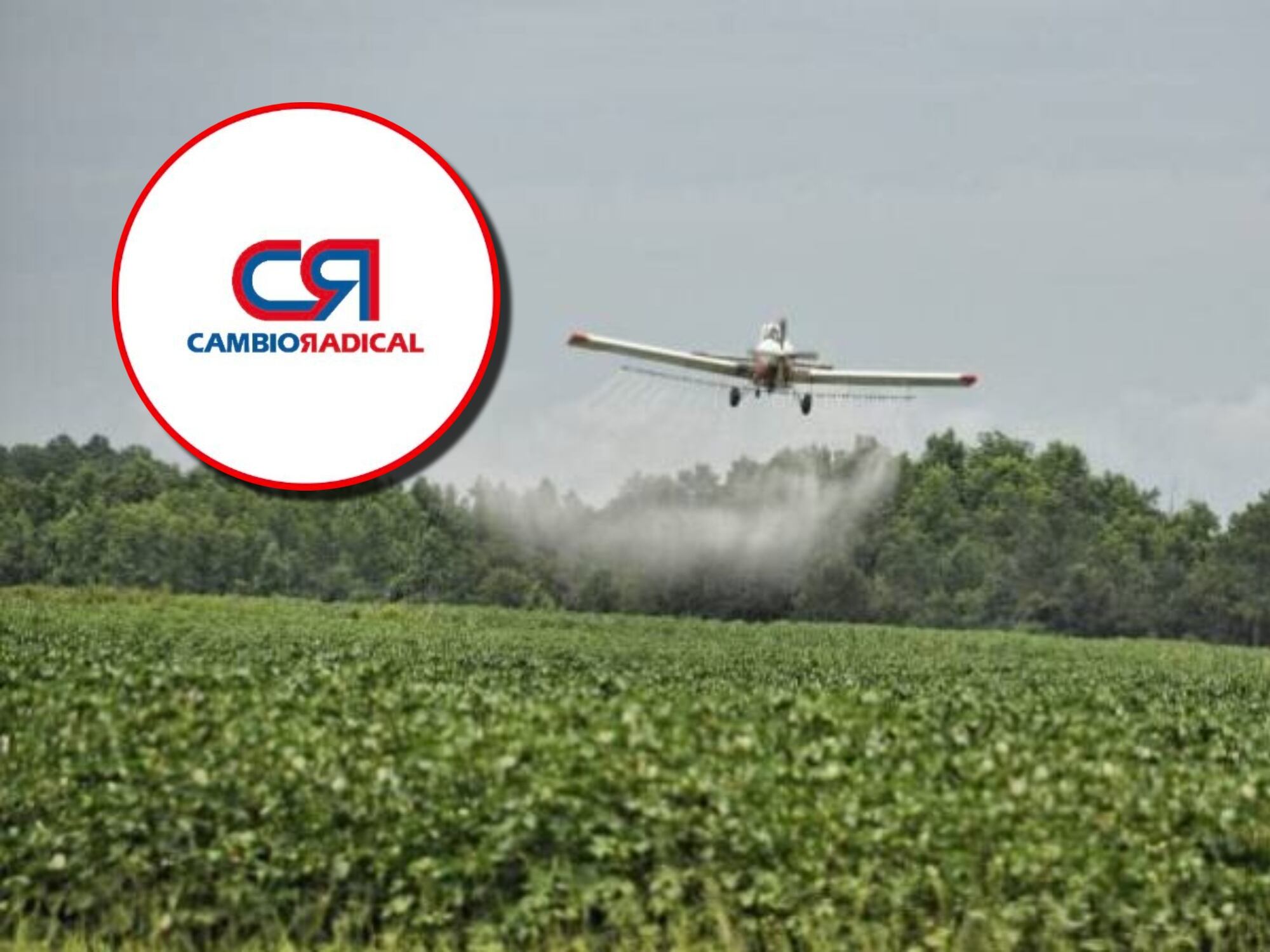 Fumigación de cultivos ilícitos en Colombia, imagen de referencia. Foto: suministradas.