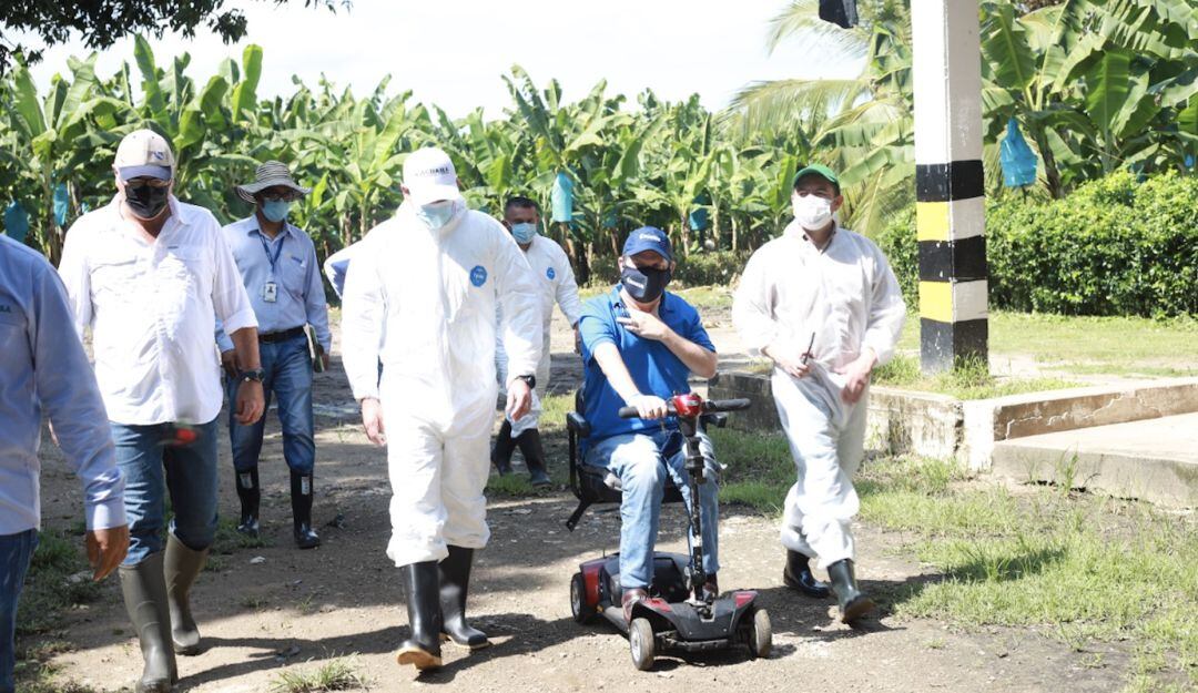 Recorrido por fincas bananeras del Magdalena