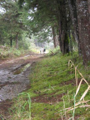 Senderismo. (Imagen referencial). Foto: cortesía Unal.