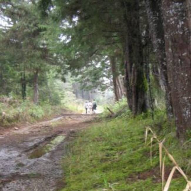 Senderismo. (Imagen referencial). Foto: cortesía Unal.