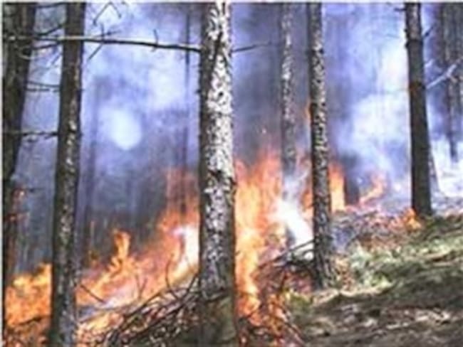 Incendios forestales consumen cerca de cinco mil hectáreas en Colombia