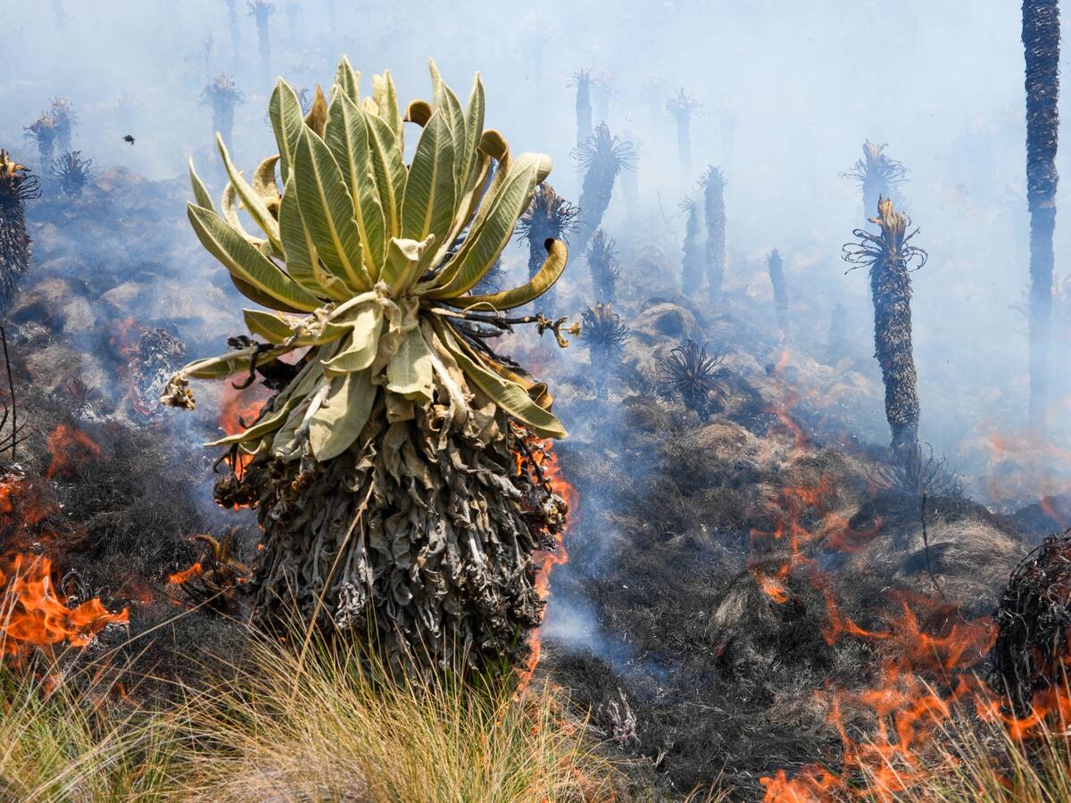 Van más de 100 incendios en Boyacá