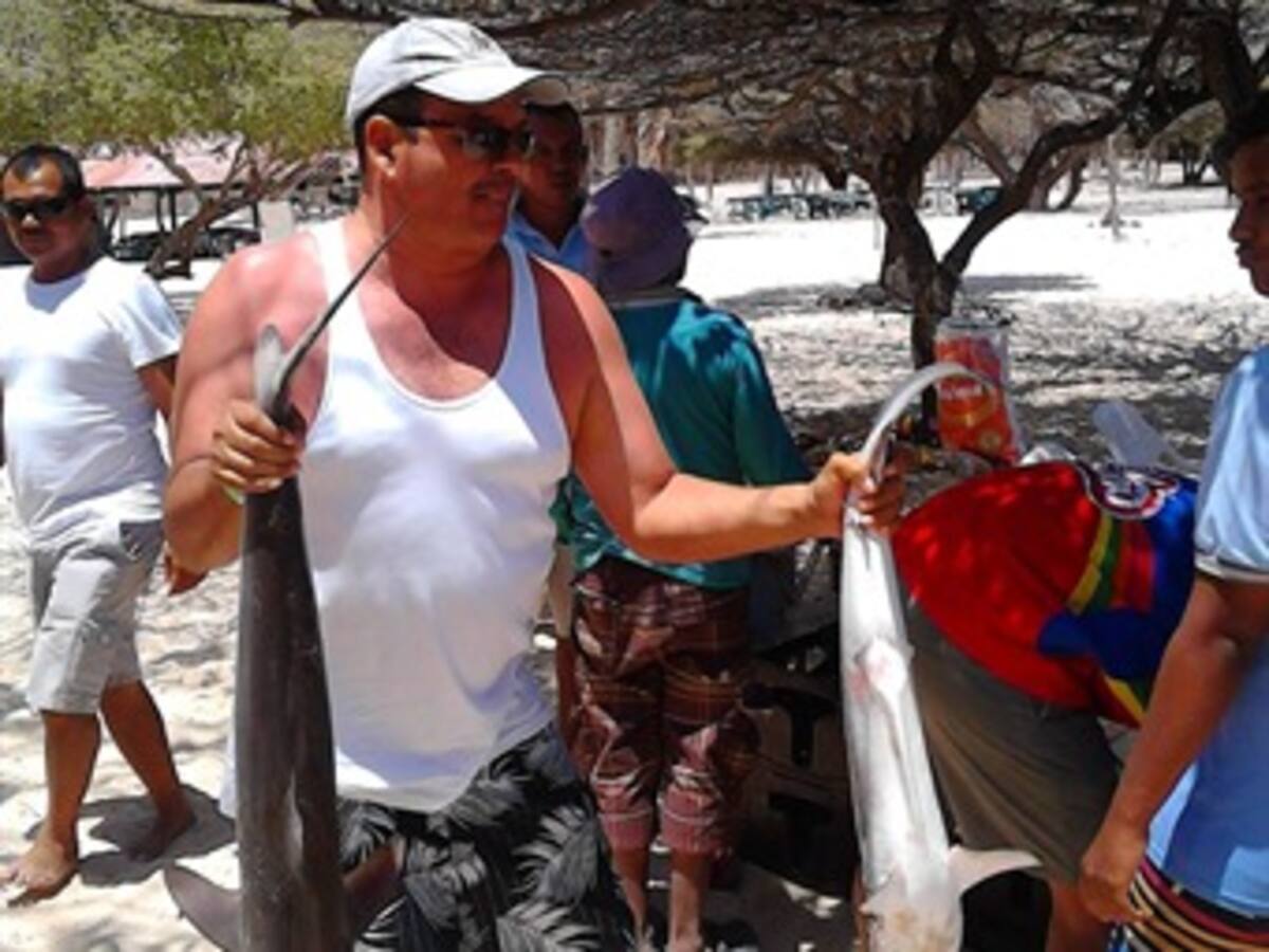 Cazaron tiburones bebés en zona turística del Parque Natural Tayrona