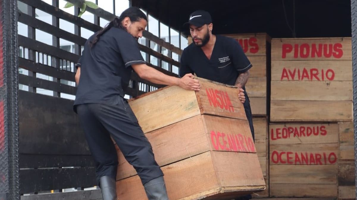 Más de 140 animales de distintas especies son trasladados por la Carder a Cartagena