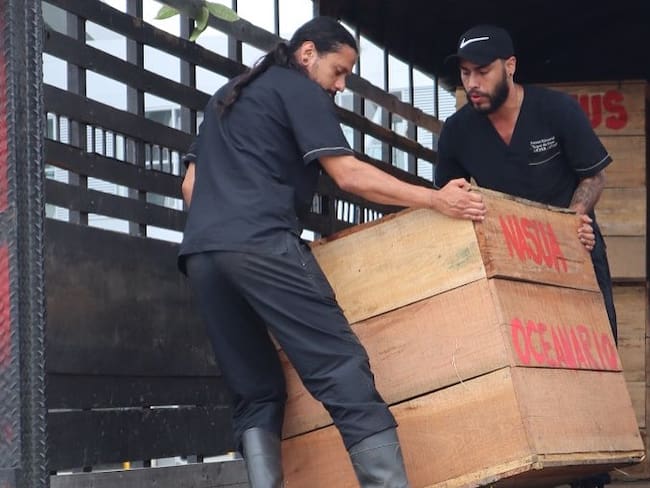 Animales recuperados en Risaralda están siendo trasladados para ser liberados en Cartagena - Carder.
