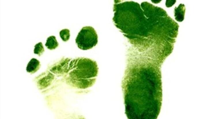 ¿Qué hay detrás de la publicidad ecológica?