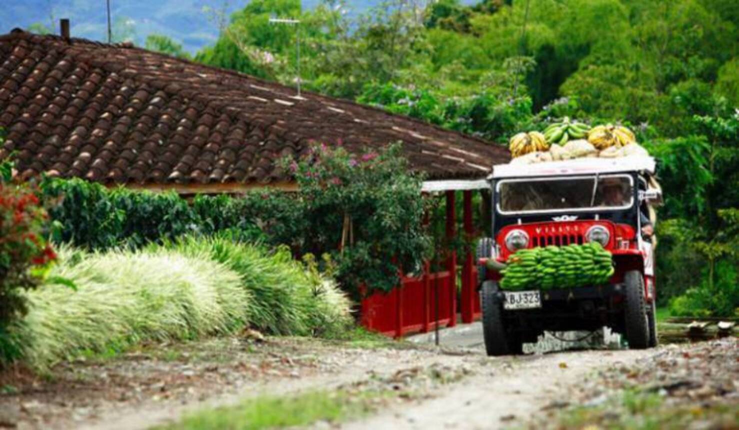 Buscan frenar la megaminería en el PCC - Foto: Colprensa