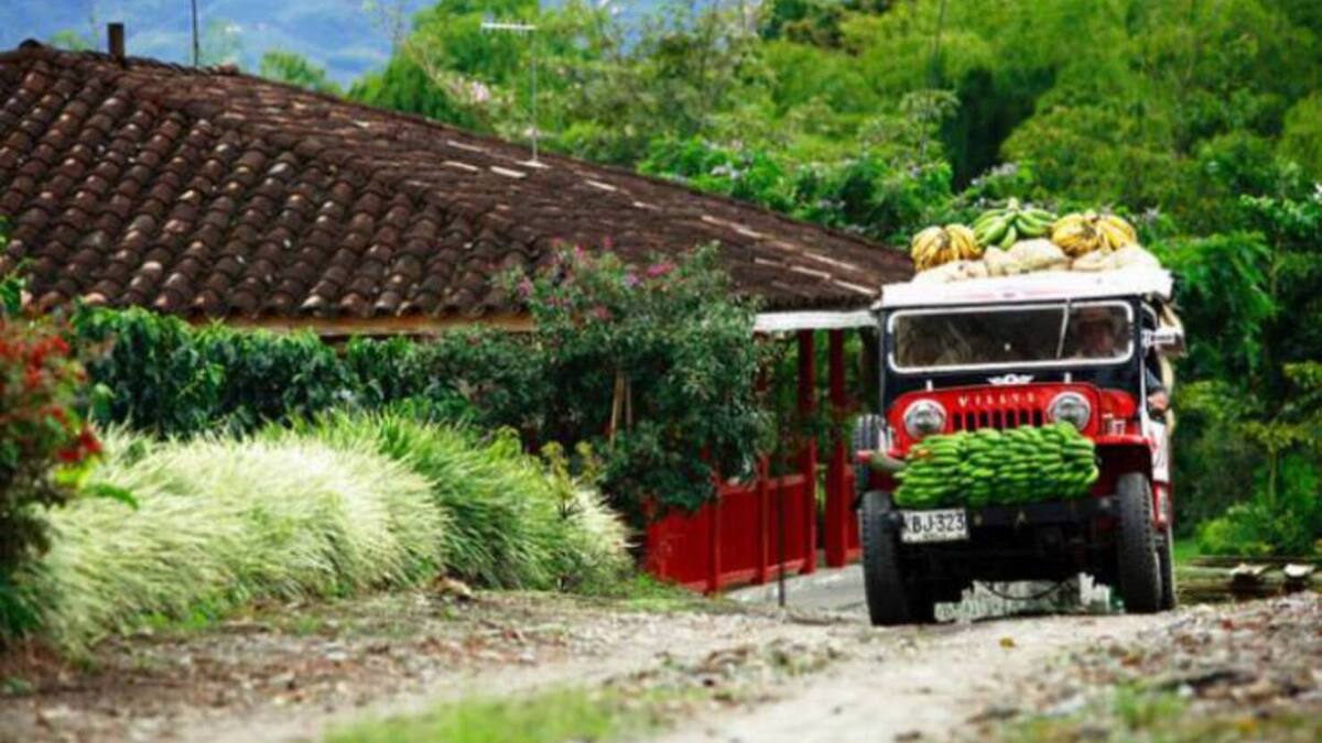 Radican proyecto de ley para proteger el Paisaje Cultural Cafetero de la megaminería