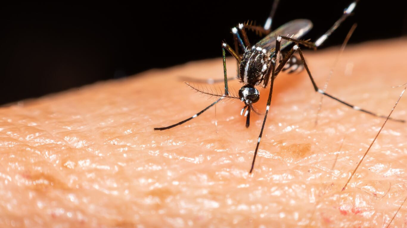 Fotografía suministrada