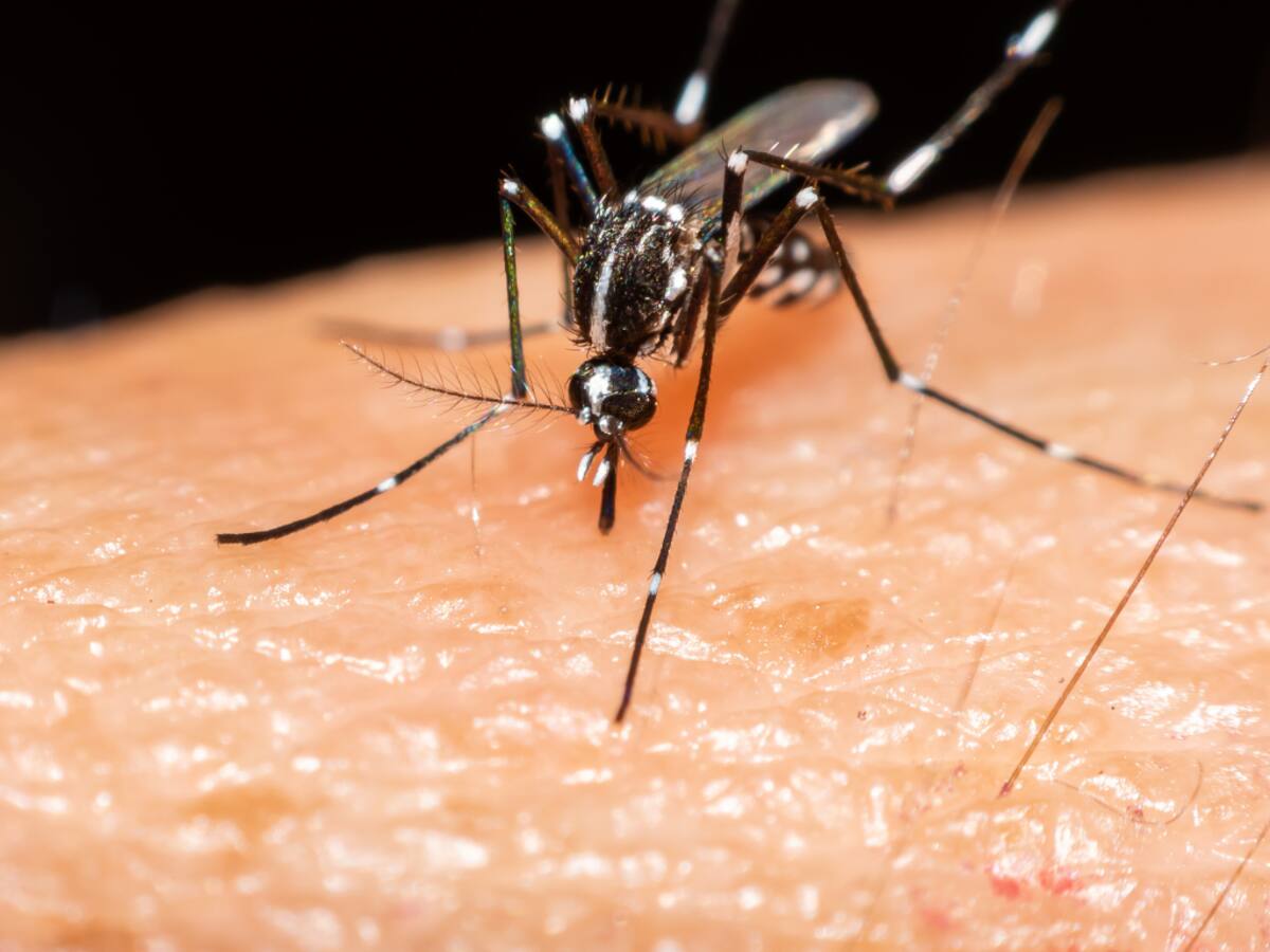 Emergencia sanitaria en Caldas por 220 casos de dengue