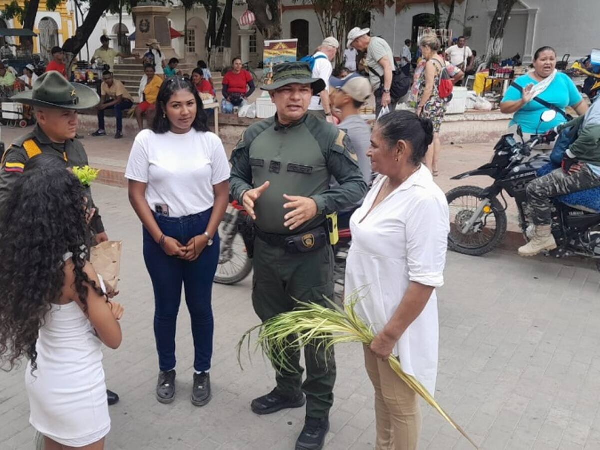 Policía Bolívar adelanta controles para evitar comercialización ilegal de la Palma de Cera