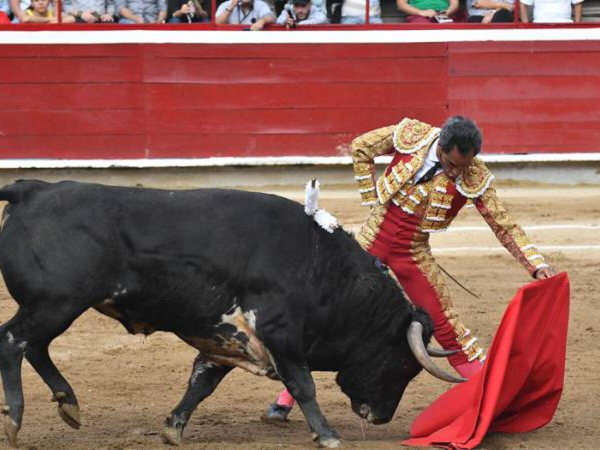 Senado definirá si se prohíbe el ingreso de menores a espectáculos taurinos