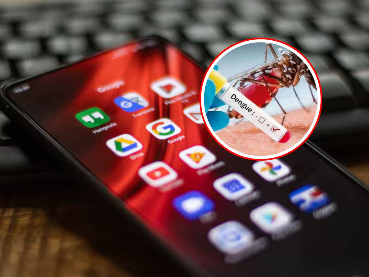 Lanzan app para frenar la propagación del dengue: así funciona
