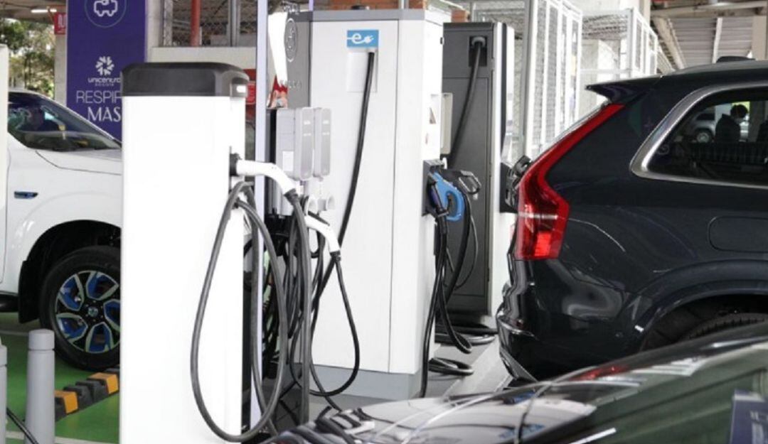 Imagen de referencia.