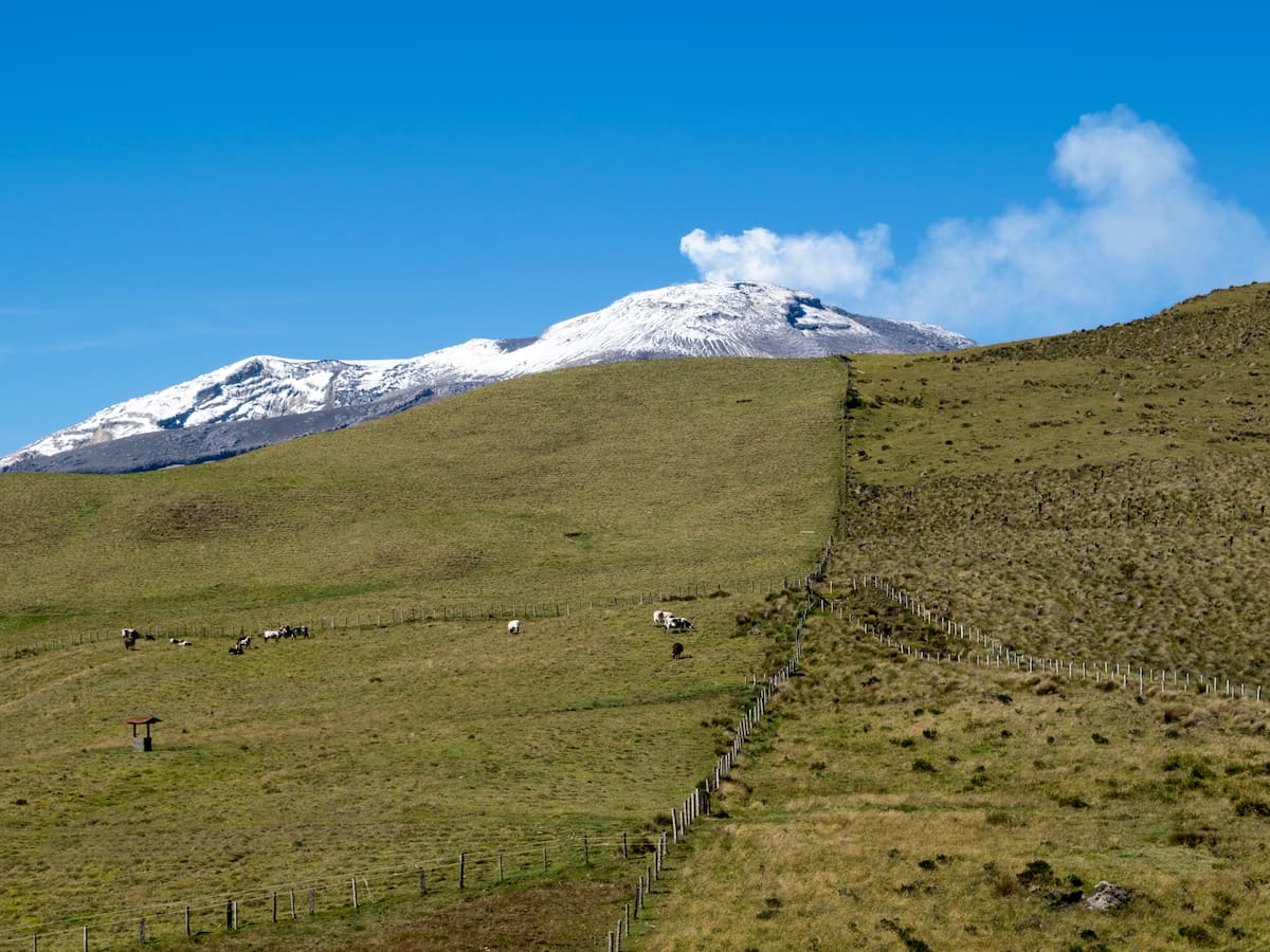 ¿Cuánto vale la entrada al Parque Nacional Natural Los Nevados? 6 actividades para hacer