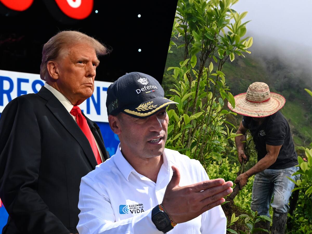 MinDefensa: descertificar a Colombia es recompensar a los delincuentes y narcos